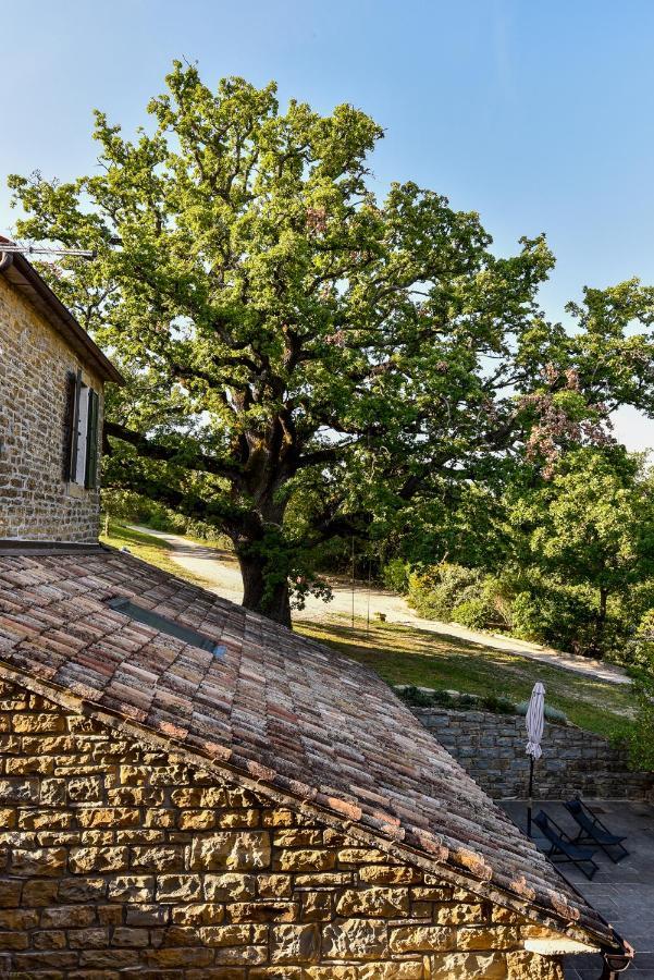 L'Abbraccio Della Quercia Lägenhet Momjan Exteriör bild