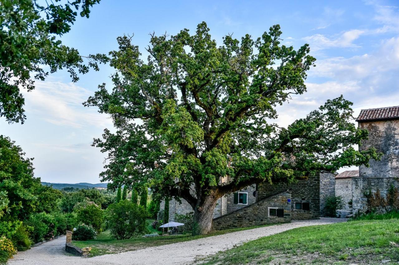 L'Abbraccio Della Quercia Lägenhet Momjan Exteriör bild