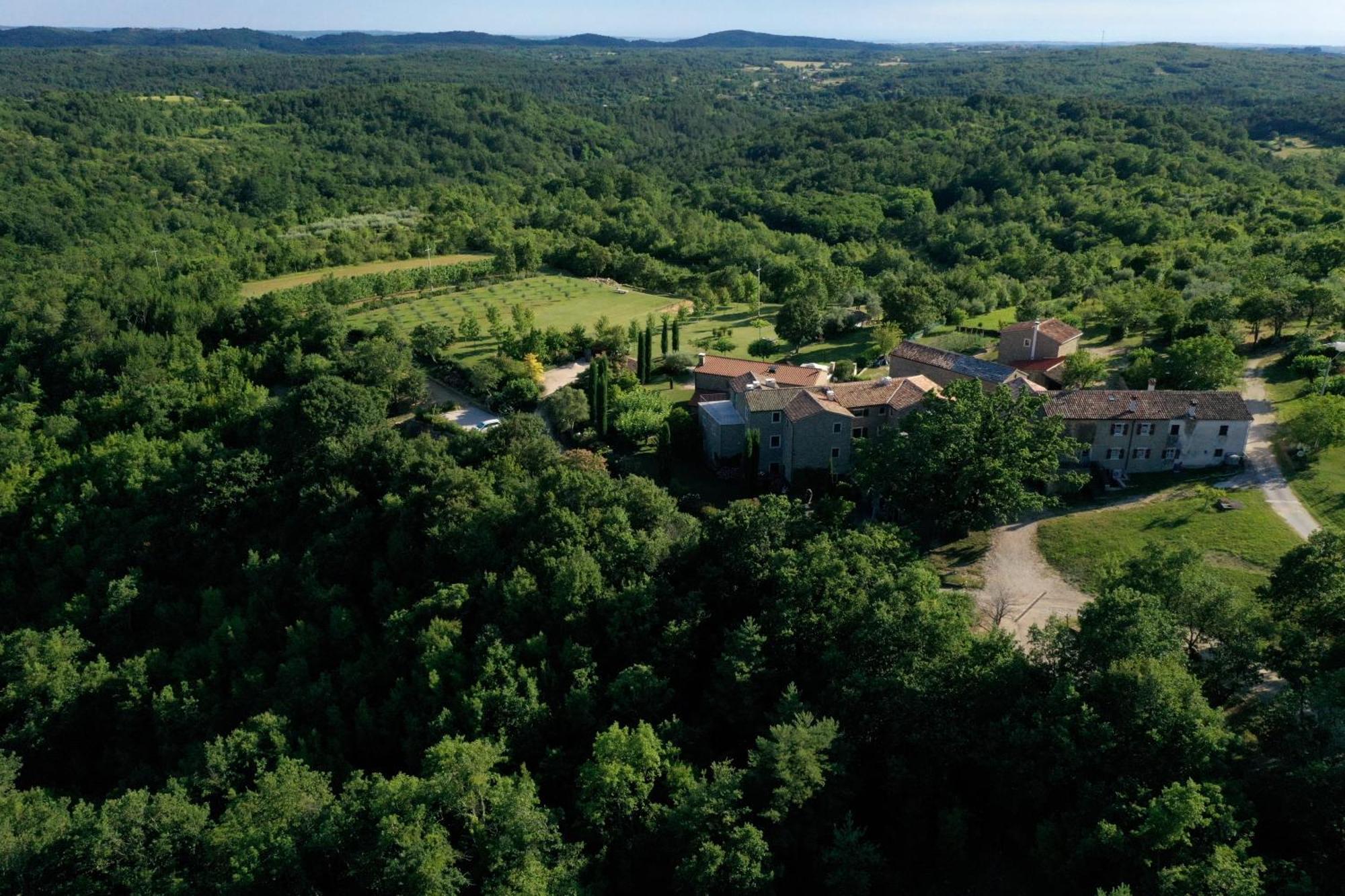 L'Abbraccio Della Quercia Lägenhet Momjan Exteriör bild